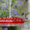 transparentwashablemaryshummingbirdfeeder1.png