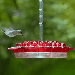Ant Proof Hummingbird Feeder | Mary's Hummingbird Feeder with 30 Tubes | Mary's Sweety Hummingbird Feeder
