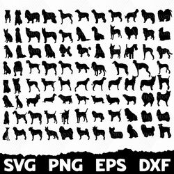 Dog Bundle svg, Dog svg, Svg Files, Cricut, Craft SVG, Crafting svg, Cut File For Cricut, Silhouette, Instant Download