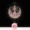 Star Wars Celestial Rose Rebel T-Shirt copy.jpg