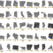 TD10012022HT108A.png