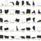 TD10012022HT108F.png