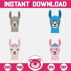 llama face svg bundle, llama svg, birthday girl svg, alpaca, cute animal, kids silhouette png eps dxf vinyl decal digita