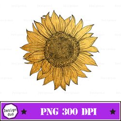 sunflower gold , sunflower summer png sublimation download, summer png, summer fruits png