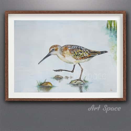 Original watercolor painting "Beautiful bird", Charadriiformes, decoration for office, housewarming gift, hallway decor