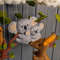 B4C8273F-CF4F-484A-BB96-EF2A6D64E2C5.jpeg