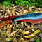 TheUltimateHuntingCompanionPersonalizedBowiehuntingMachete 2jpg