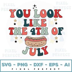 you look like the 4th of july svg, png, retro svg, 4th of july svg, fourth of july svg, america svg, patriotic svg, , in