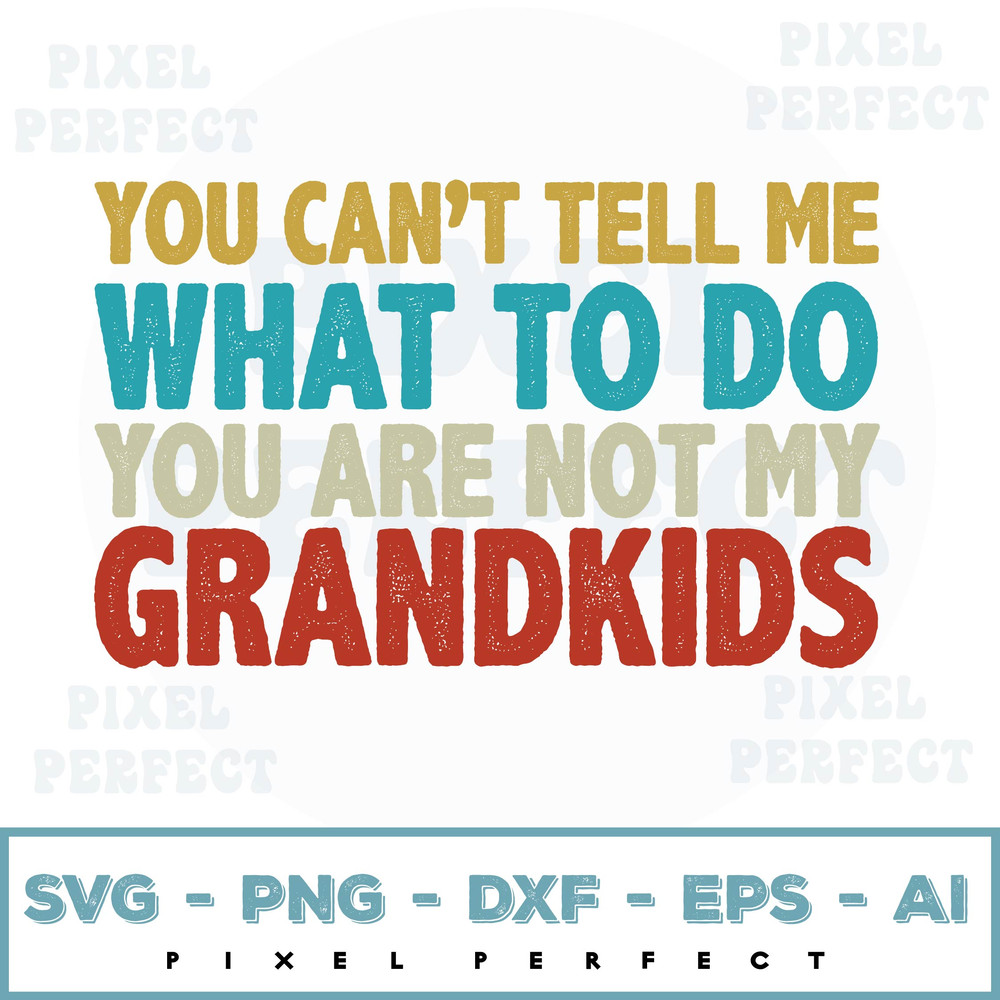 PIXEL PERFECT-01.jpg