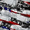 Torn Second Amendment 22.jpg