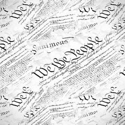 we the people 21 seamless tileable repeating pattern