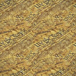 we the people 22 seamless tileable repeating pattern