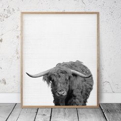 bull printable pictures, animal nursery prints, classroom wall art, children's room decor, baby shower gifts, nursery