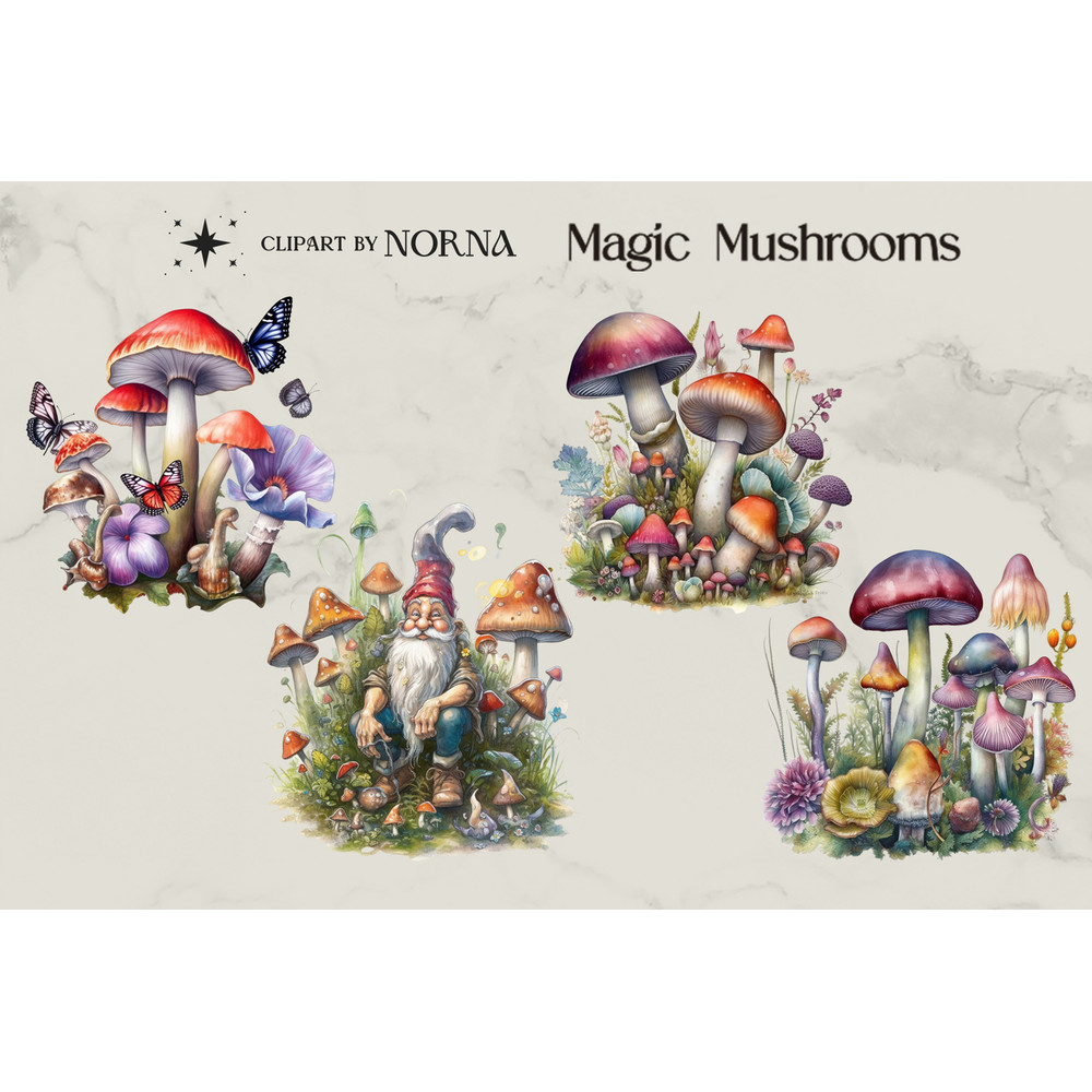 Adaptação designbundles_0002_Apresentação Magic Mushrooms - Clipart by Norna_0008_Página Amostras 5 copiar (mesclada).jpg