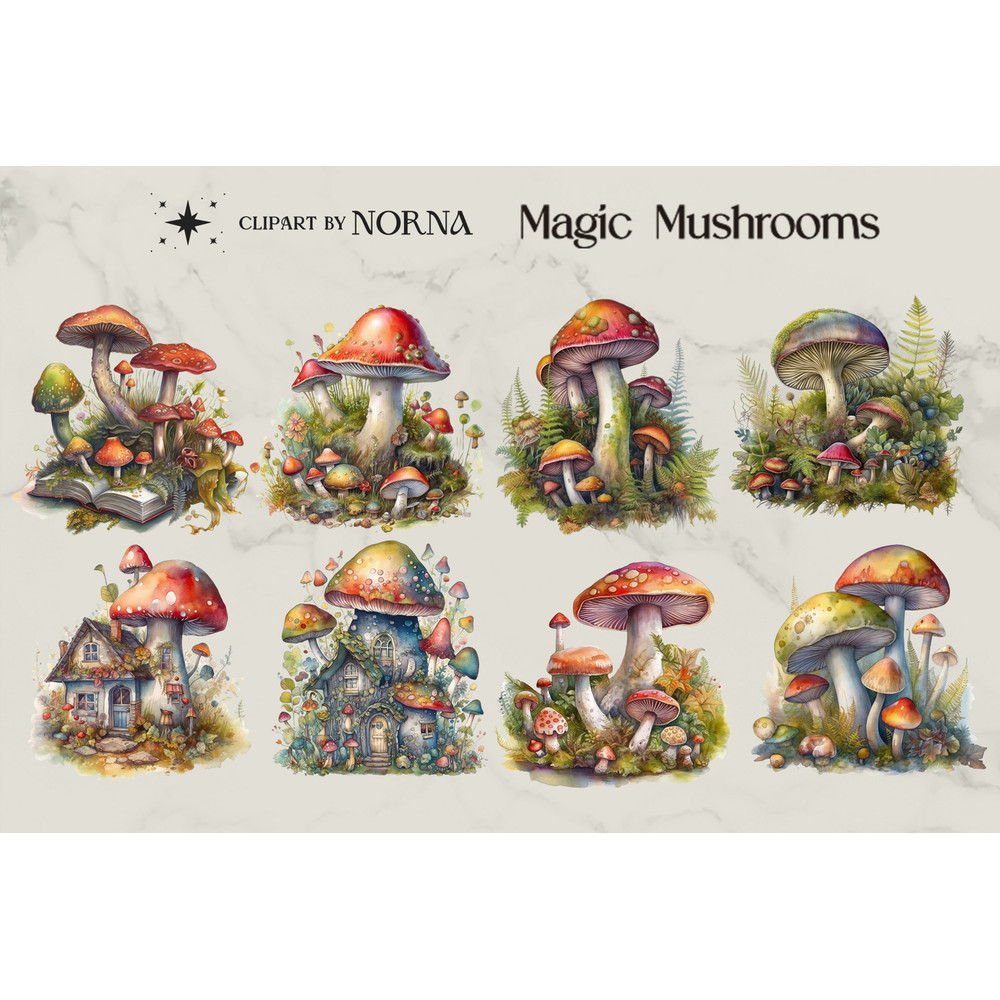 Adaptação designbundles_0005_Apresentação Magic Mushrooms - Clipart by Norna_0005_Página Amostras 2 (mesclada).jpg