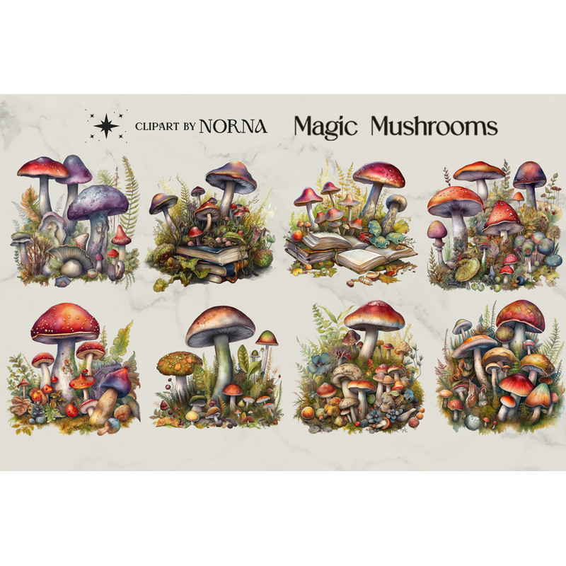 Adaptação designbundles_0006_Apresentação Magic Mushrooms - Clipart by Norna_0004_Página Amostras 1 (mesclada).jpg