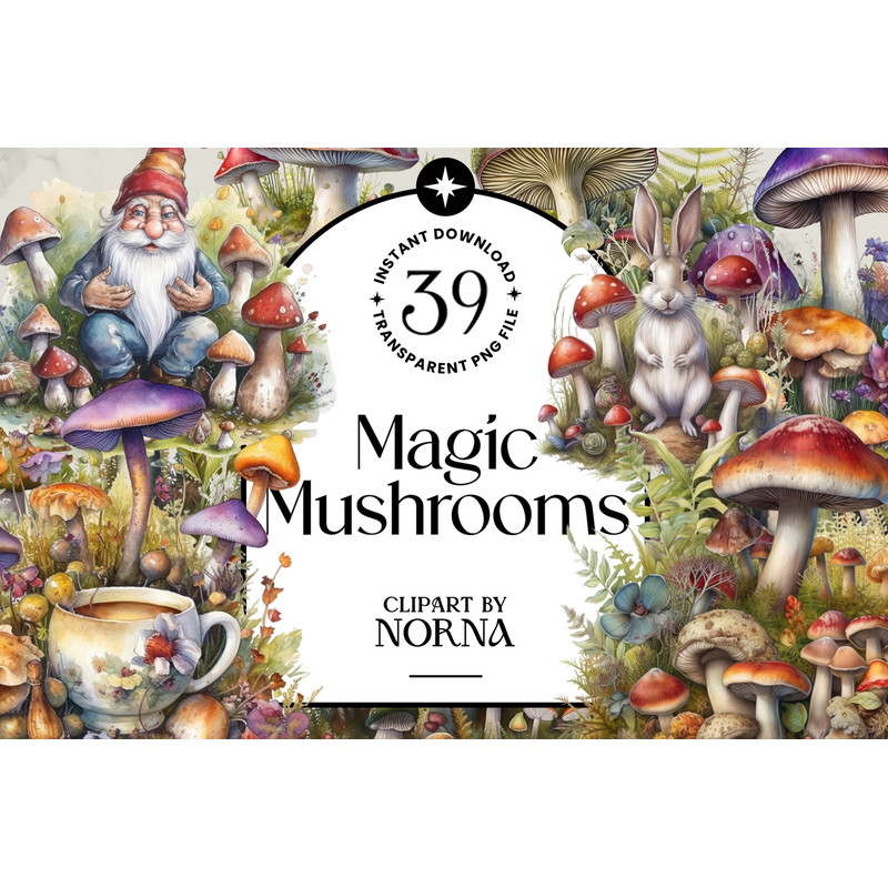 Adaptação designbundles_0007_Apresentação Magic Mushrooms - Clipart by Norna_0003_Info Capa (mesclada).jpg