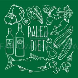 paleo diet healthy food low carb vector illustration set