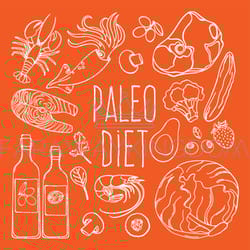 paleo ingredients healthy food diet vector illustration set