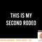 This Is My Second Rodeo Funny Sarcastic Western T-Shirt copy.jpg