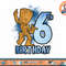 Marvel Guardians Of The Galaxy Baby Groot 6th Birthday T-Shirt copy.jpg