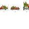 TD07122021HT33A.png