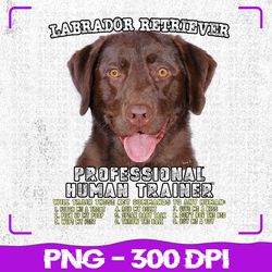 labrador retriever chocolate png, lab professional human trainer png, labrador png, sublimation, png files, sublimation
