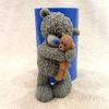Teddy Bear with a toy bear