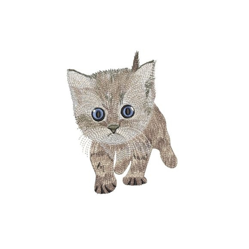 Cat-Embroidery-12708128-1-1-580x386.jpg