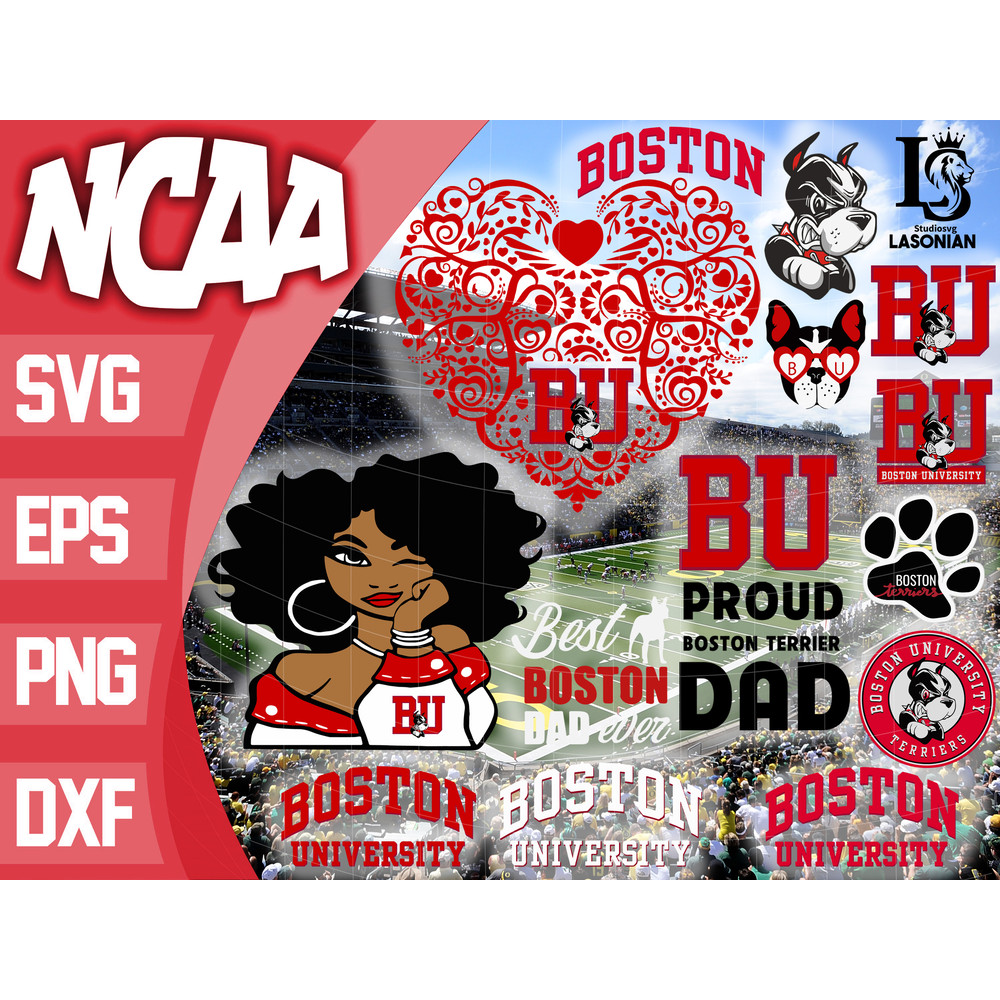 Boston University Terriers.jpg