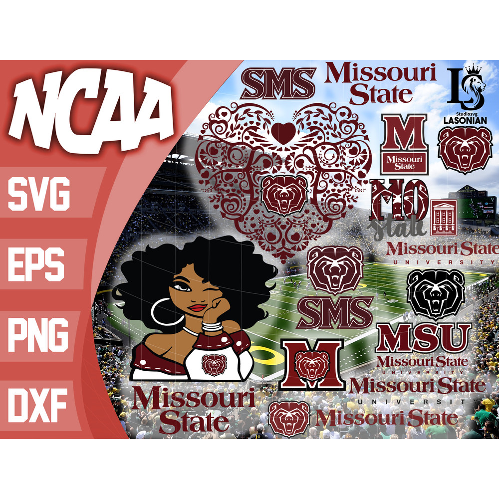 Missouri State Bears.jpg