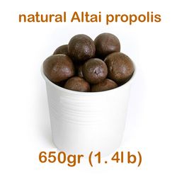 Natural Bee Propolis from Altai Mountains 650 gr (1.4 lb) a Healthy Product Antimicrobial Antiviral Agent