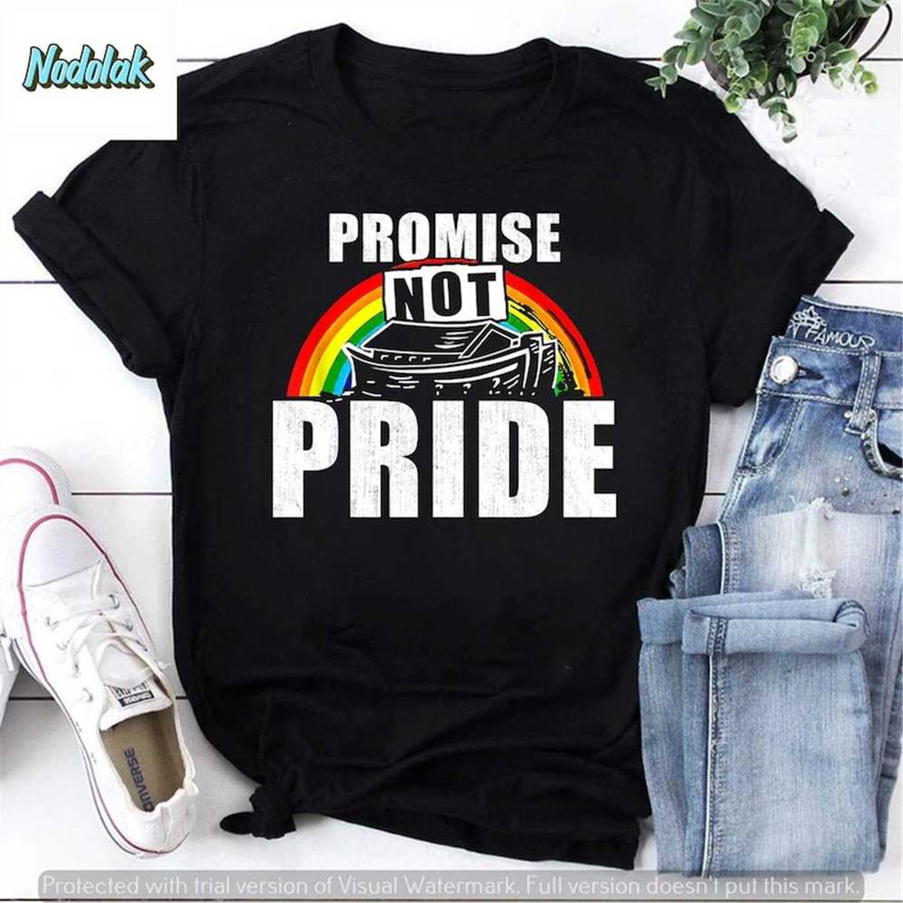 MR-852023114429-promise-not-pride-bryson-gray-vintage-t-shirt-pride-month-image-1.jpg