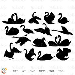 swan svg couple silhouette cricut cutting files download stencil templates dxf
