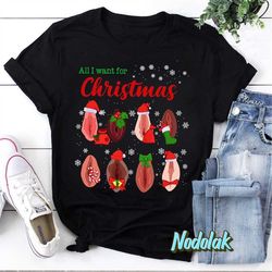 dirty christmas all i want for christmas is vagina funny dirty christmas gift for couple t-shirt, dirty christmas shirt,