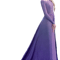 Elsa (20).png