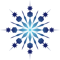 Snowflake (2).png