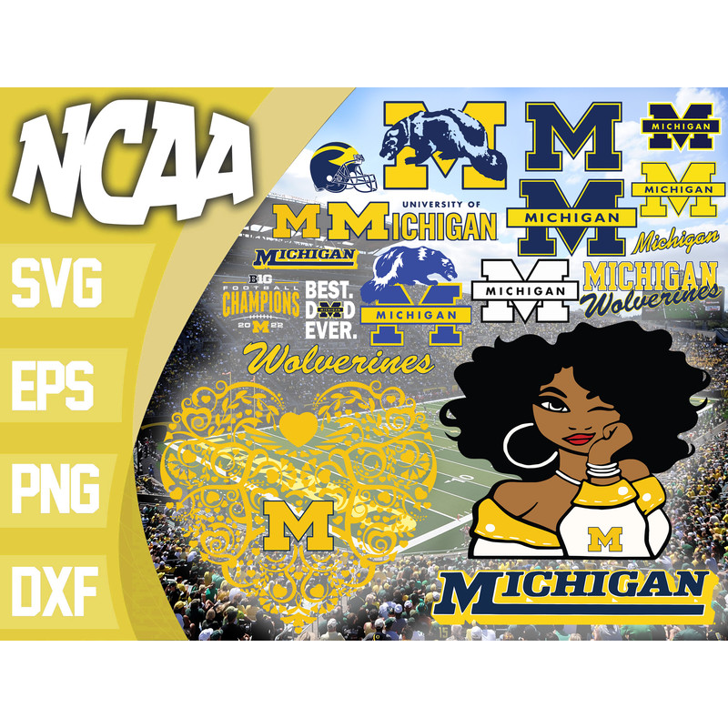 Michigan Wolverines.jpg