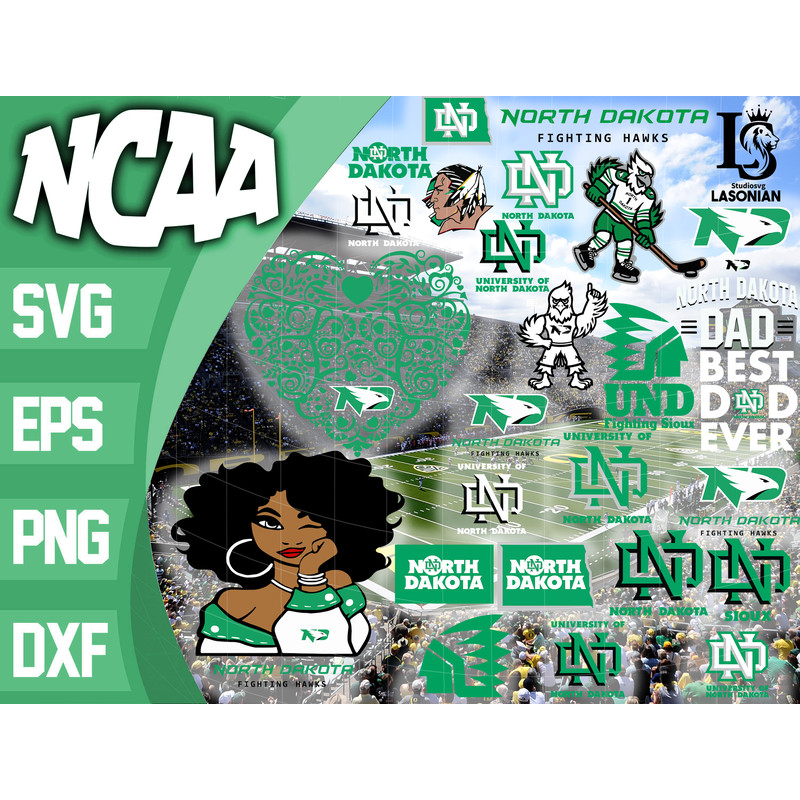 North Dakota Fighting Hawks.jpg