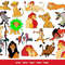 1000+ files The Lion King (4).jpg