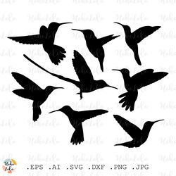 hummingbird svg silhouette cricut files clipart png bird stencil template dxf