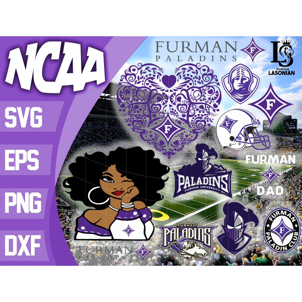 Furman Paladins.jpg