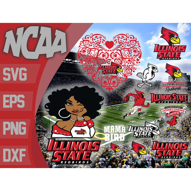 Illinois State Redbirds bundle ncaa svg, ncaa svg, Instant Download.jpg