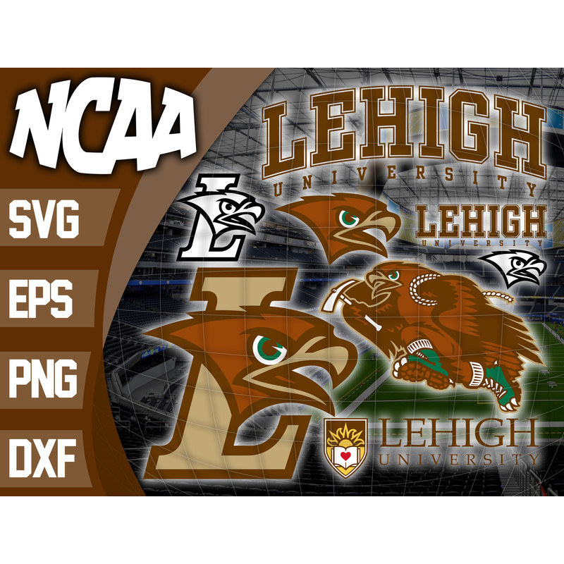 Logo Lehigh Mountain Hawks.jpg