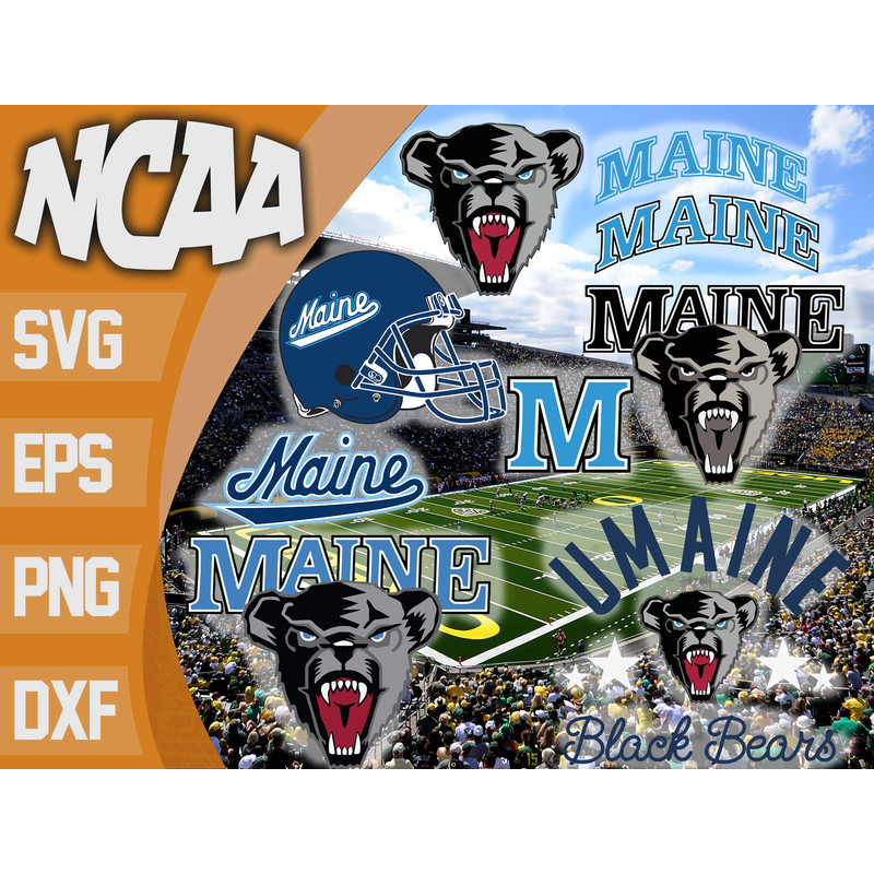 Maine Black Bears.jpg