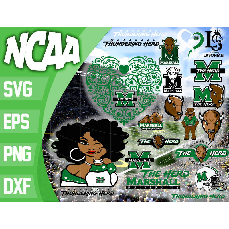 Marshall Thundering Herd.jpg