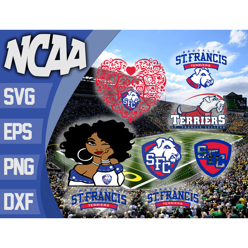 St Francis BKN Terriers.jpg