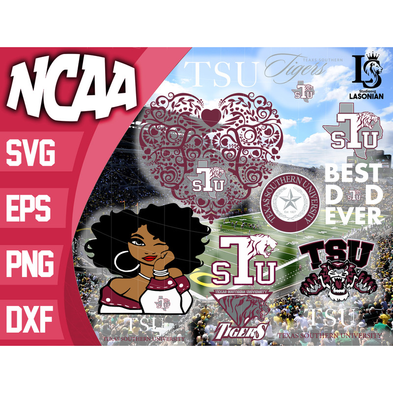 Texas Southern Tigers.jpg