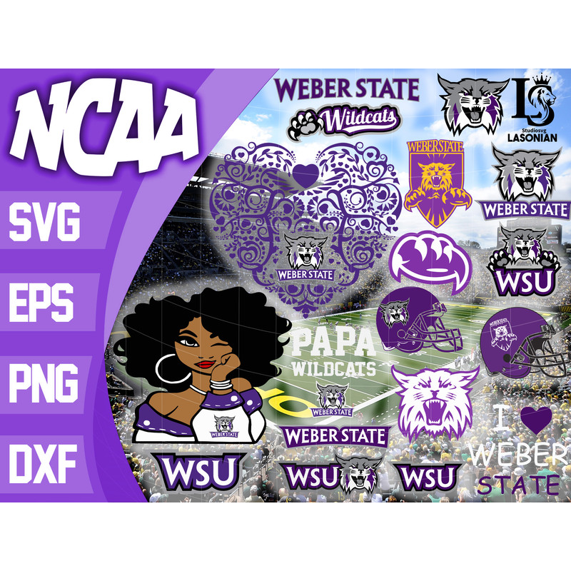 Weber State Wildcats.jpg