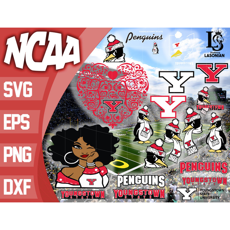 Youngstown State Penguins.jpg